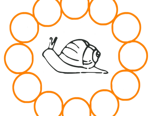 SnailMaille